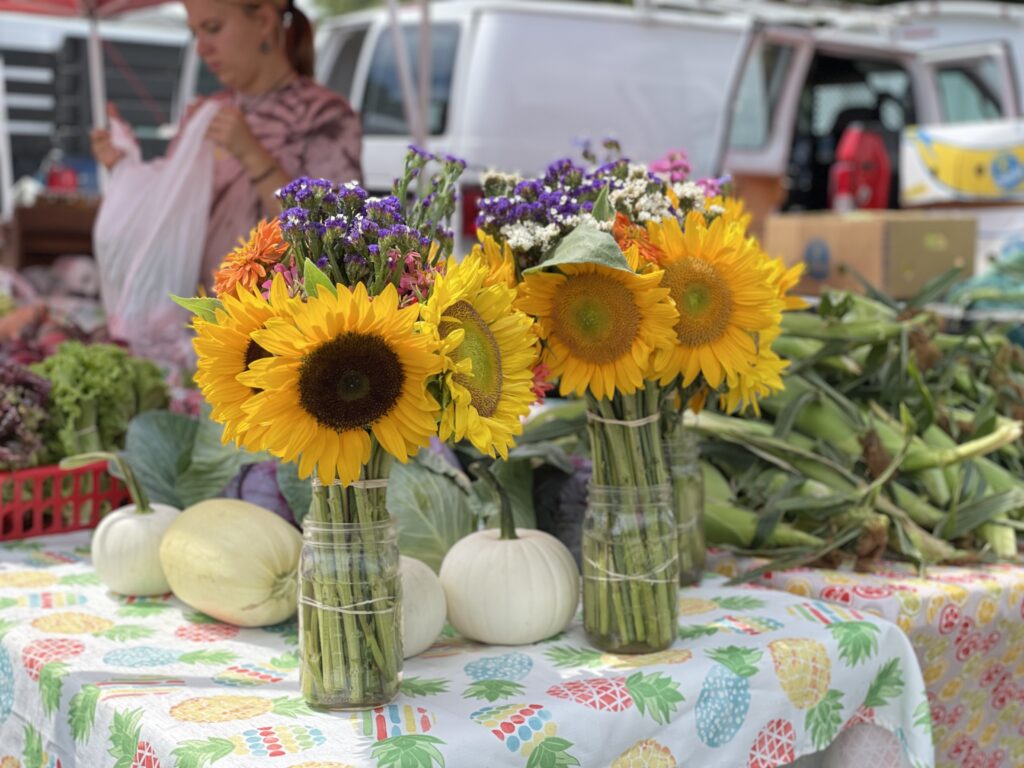 bunches of sunflowers on a table with white pumpkins.