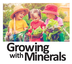 Growing with mineral logo